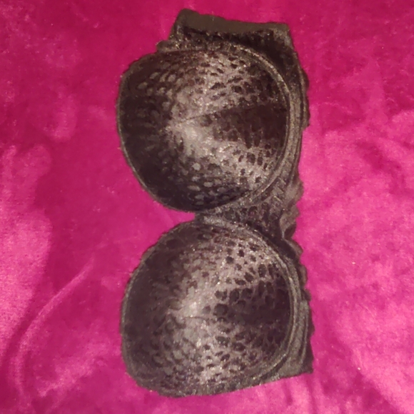 body Frosting Other - Body Frosting 34D strapless Bra